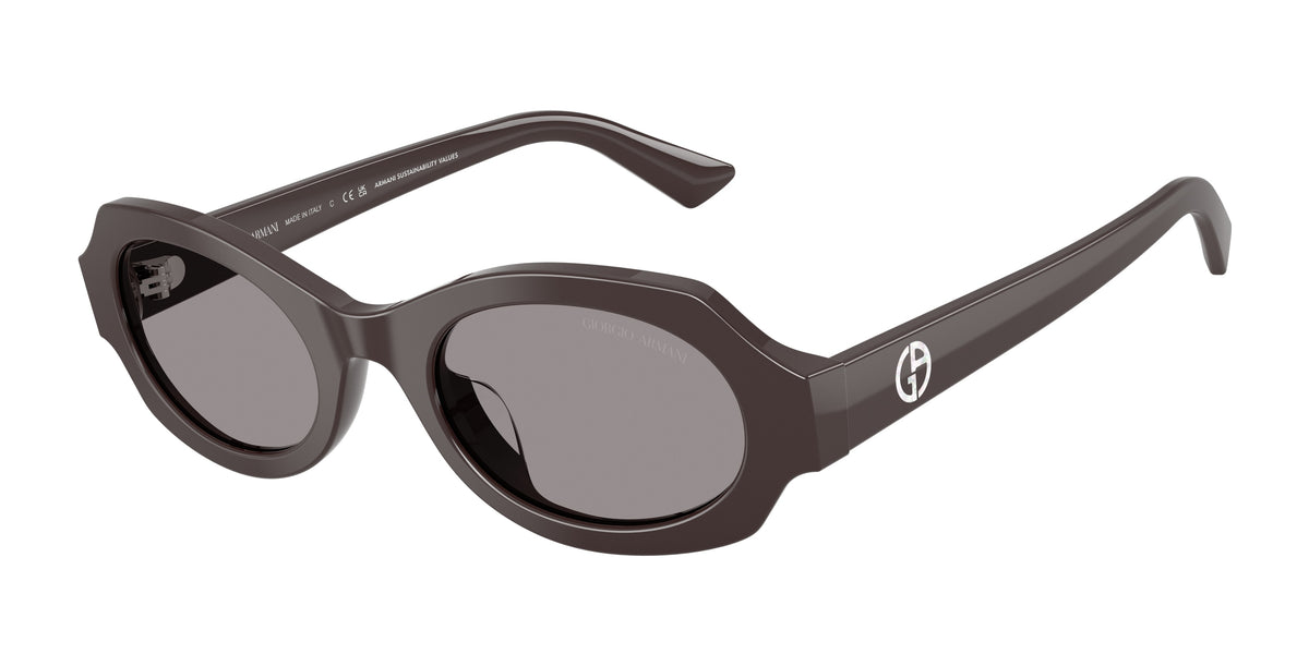 Giorgio Armani AR8245HU Purple Sunglasses