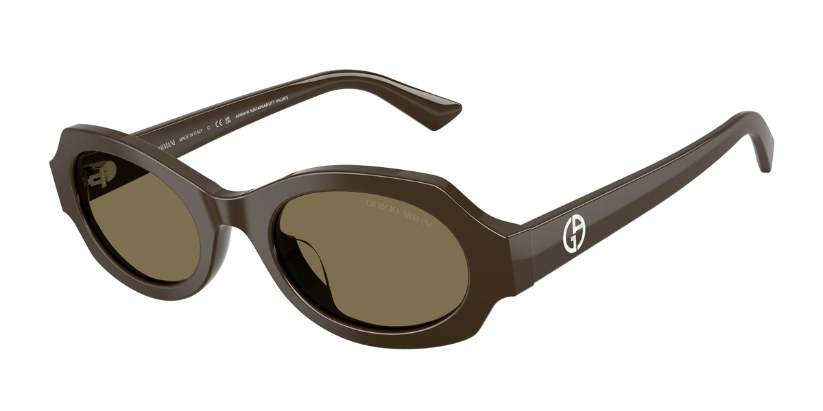 Giorgio Armani AR8245HU Brown Sunglasses