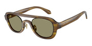 Giorgio Armani AR8247 Striped Brown & Light Brown Sunglasses