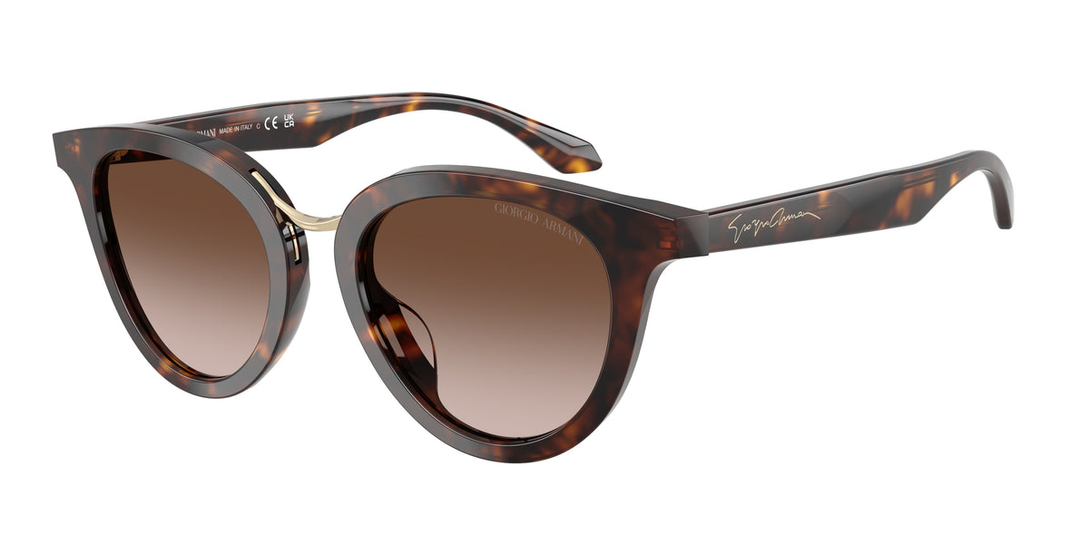 Giorgio Armani AR8252U Havana Sunglasses