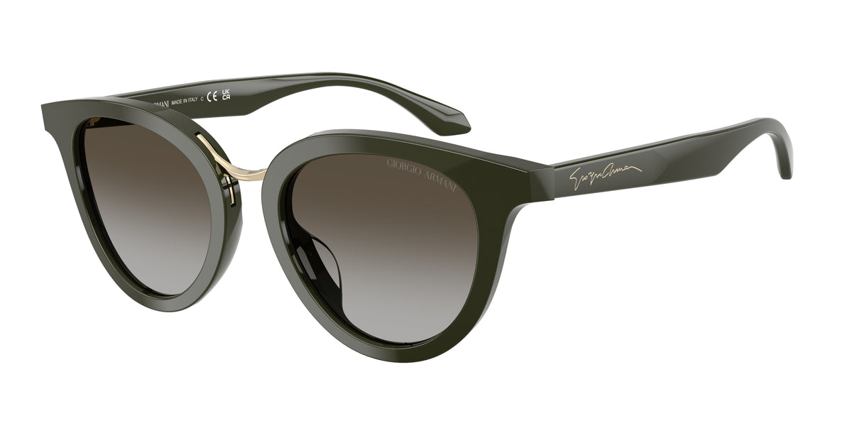 Giorgio Armani AR8252U Green Sunglasses