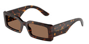 Dolce&Gabbana DG4416 Havana Sunglasses