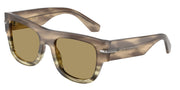 Dolce&Gabbana DG4484 Havana Green Sunglasses