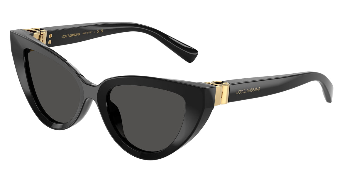 Dolce&Gabbana DG4497 Black Sunglasses