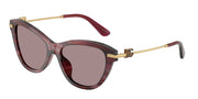 Dolce&Gabbana DG4534 Striped Violet Sunglasses