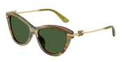 Dolce&Gabbana DG4534 Striped Green Transparent Sunglasses