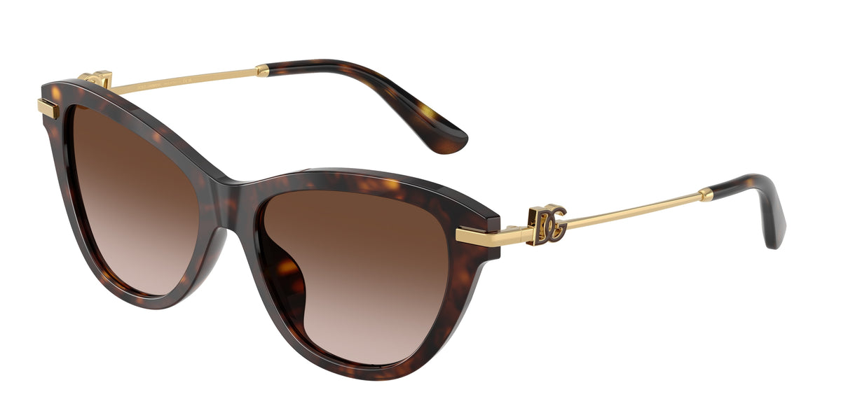 Dolce&Gabbana DG4534 Havana Sunglasses