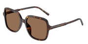Dolce&Gabbana DG4539 Havana Sunglasses