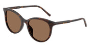 Dolce&Gabbana DG4540 Havana Sunglasses