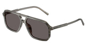 Dolce&Gabbana DG4541 Grey On Striped Grey Sunglasses
