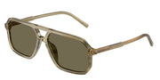 Dolce&Gabbana DG4541 Green On Striped Green Sunglasses