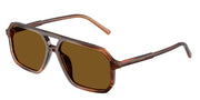 Dolce&Gabbana DG4541 Brown On Striped Brown Sunglasses