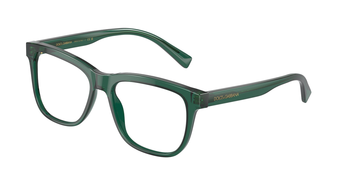 Dolce&Gabbana DX3356 Transparent Green Eyeglasses Kids