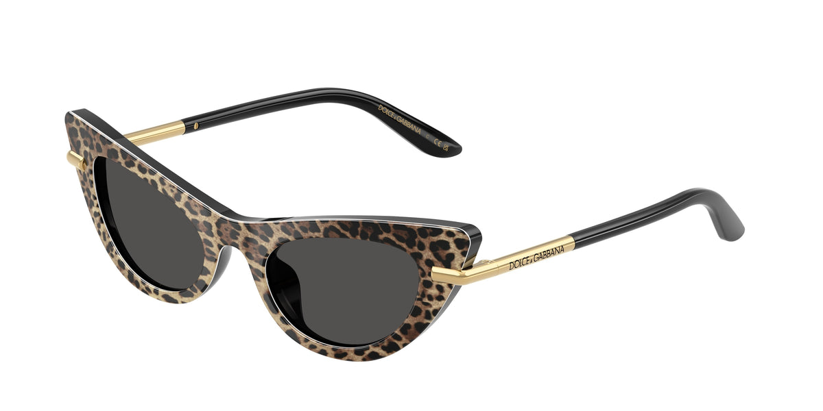 Dolce&Gabbana DX4008 Leo Brown On Black Sunglasses Kids
