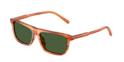 Dolce&Gabbana DX4009 Transparent Camel/Striped Ginger Sunglasses Kids