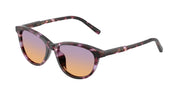 Dolce&Gabbana DX4010 Violet Havana Sunglasses Kids