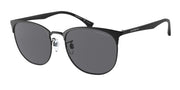 Emporio Armani EA2122D Matte Black Sunglasses