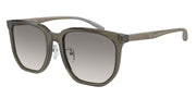 Emporio Armani EA4215D Shiny Transparent Grey Sunglasses