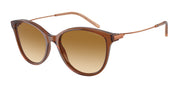 Emporio Armani EA4220 Shiny Transparent Light Brown Sunglasses