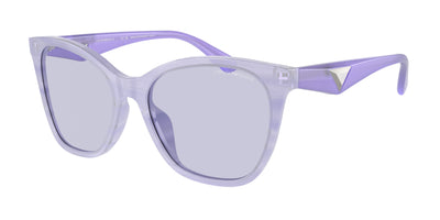 Emporio Armani EA4222U Sunglasses