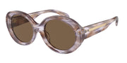 Emporio Armani EA4231U Striped Brown Sunglasses