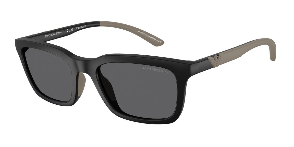 Emporio Armani EA4249U Matte Black Sunglasses