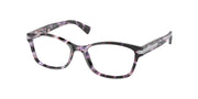 Coach HC6065 Purple Tortoise Eyeglasses