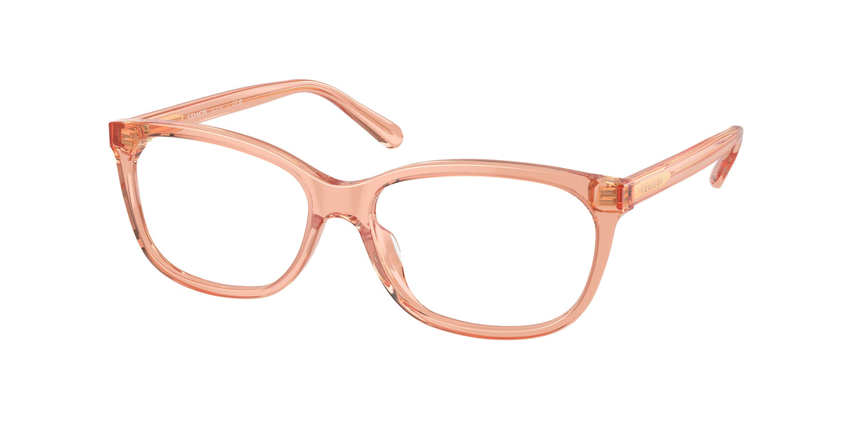 Coach HC6139U Transparent Saddle Eyeglasses