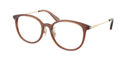 Coach HC6160D Transparent Brown Eyeglasses