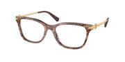 Coach HC6176 Petal Tortoise Eyeglasses