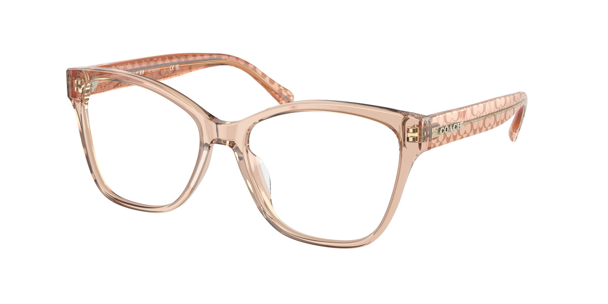 Coach HC6207U Transparent Brown Eyeglasses