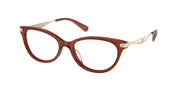 Coach HC6245U Transparent Brown Eyeglasses