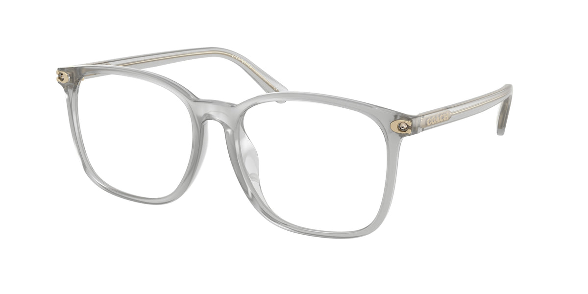 Coach HC6254BD Transparent Dove Eyeglasses