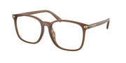 Coach HC6254BD Milky Brown Eyeglasses