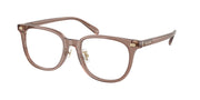 Coach HC6269D Transparent Light Brown Eyeglasses