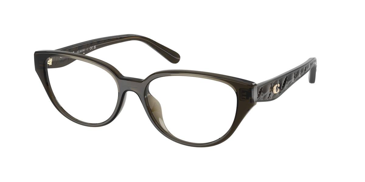 Coach HC6279D Transparent Oak Eyeglasses