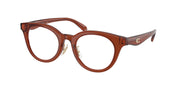 Coach HC6280D Transparent Brown Eyeglasses