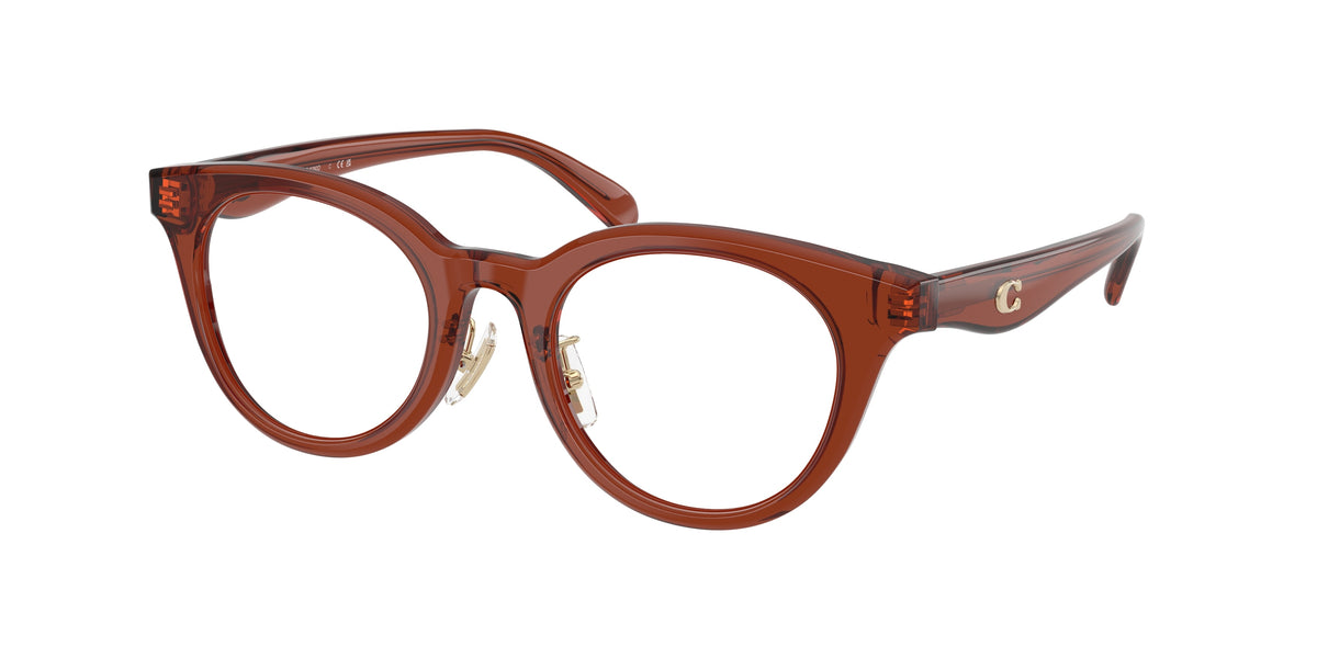 Coach HC6280D Transparent Brown Eyeglasses