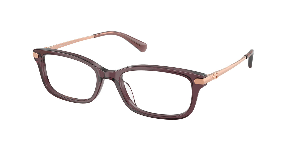 Coach HC6287U Transparent Iris Eyeglasses