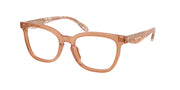 Coach HC6288U Transparent Brown Eyeglasses