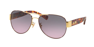 Coach HC7059 Sunglasses