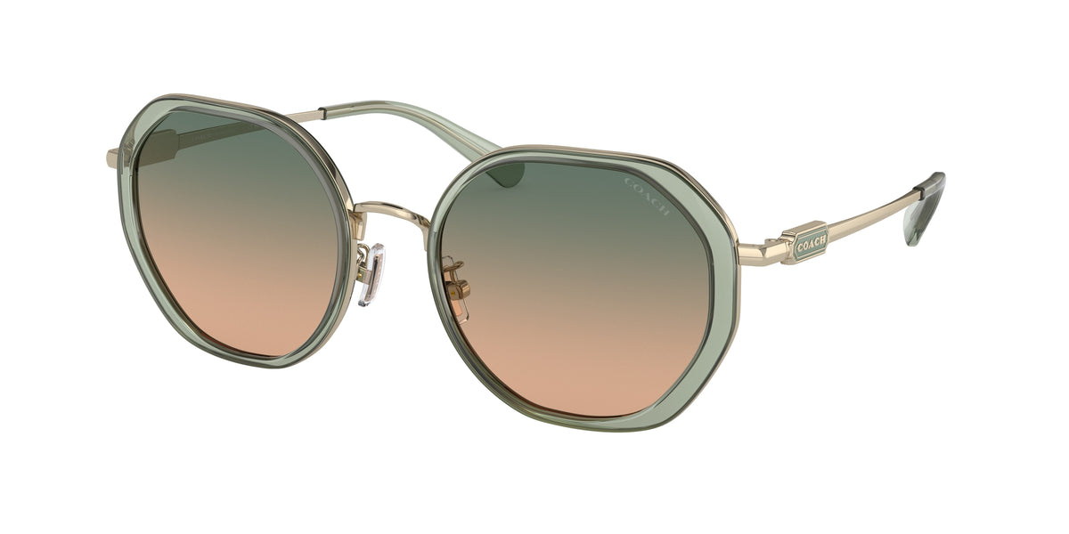 Coach HC7141 Transparent Green Sunglasses