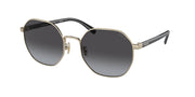 Coach HC7147 Shiny Light Gold Sunglasses