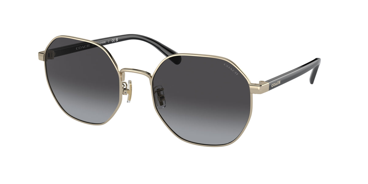 Coach HC7147 Shiny Light Gold Sunglasses