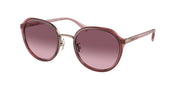 Coach HC7154 Transparent Berry Sunglasses