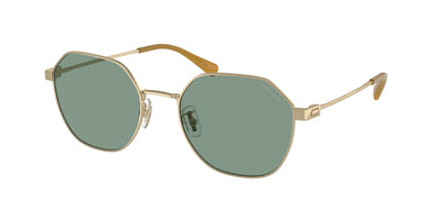 Coach HC7155 Sunglasses