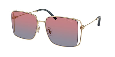 Coach HC7174D Sunglasses