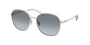 Coach HC7189 Shiny Silver Sunglasses