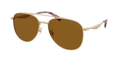 Coach HC7190 Sunglasses
