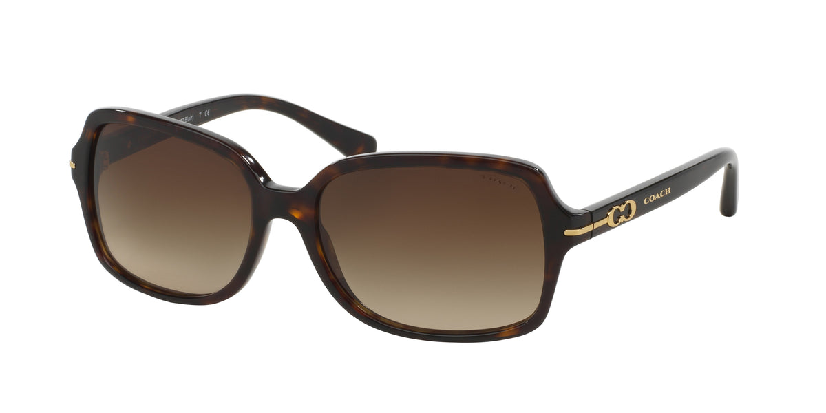 Coach HC8116 Dark Tortoise Sunglasses